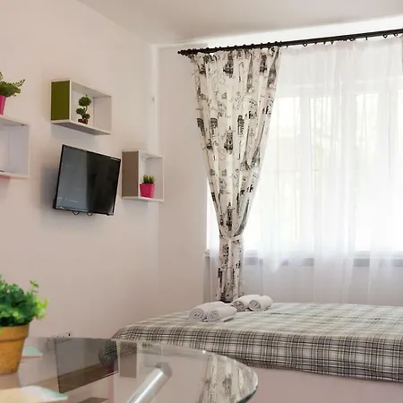 Central Brezoianu Appartement